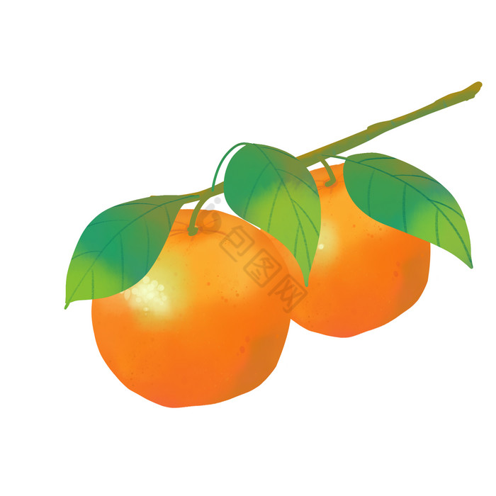 成熟果实柑橘橘子图片
