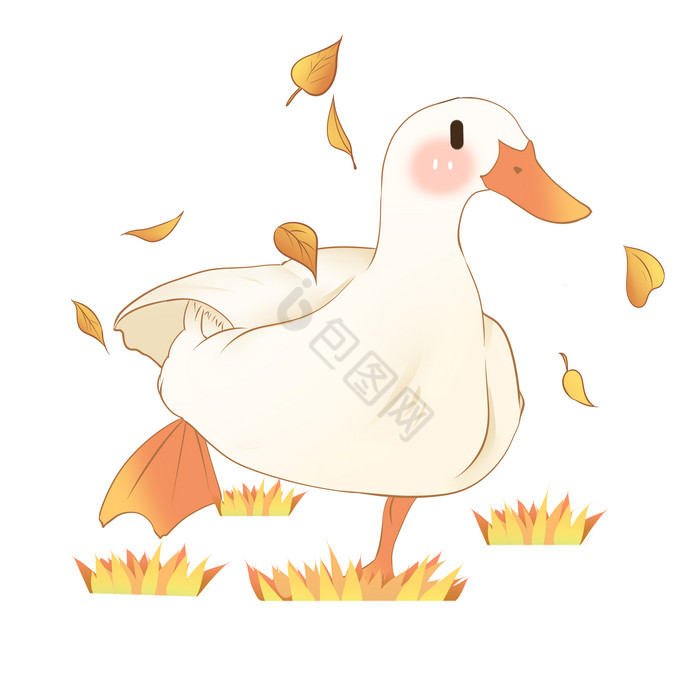 秋天动物鸭子图片
