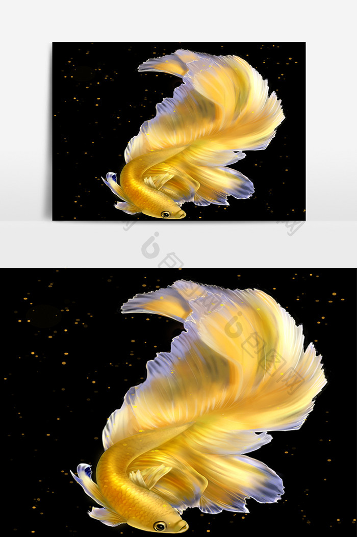 唯美黄色斗鱼水生物
