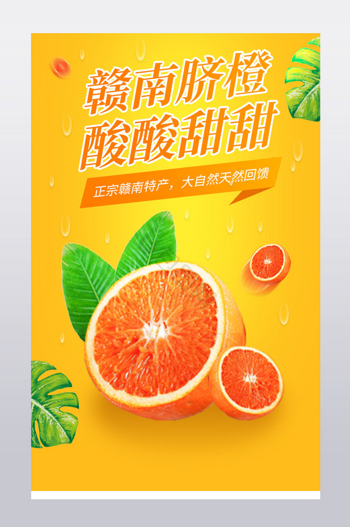 水果脐橙营养美味季节新品营养健康食品图片