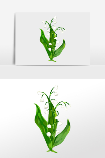 唯美植物花朵铃兰花
