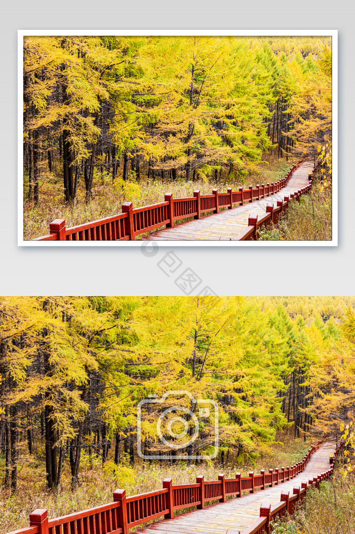 阿尔山天池景区木栈道