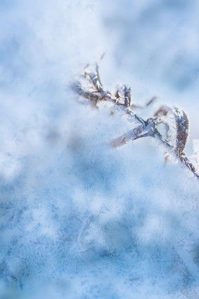 蓝色雪花冬季寒冷霜降背景