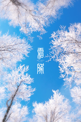 雪白唯美冬季树林结冰霜降背景