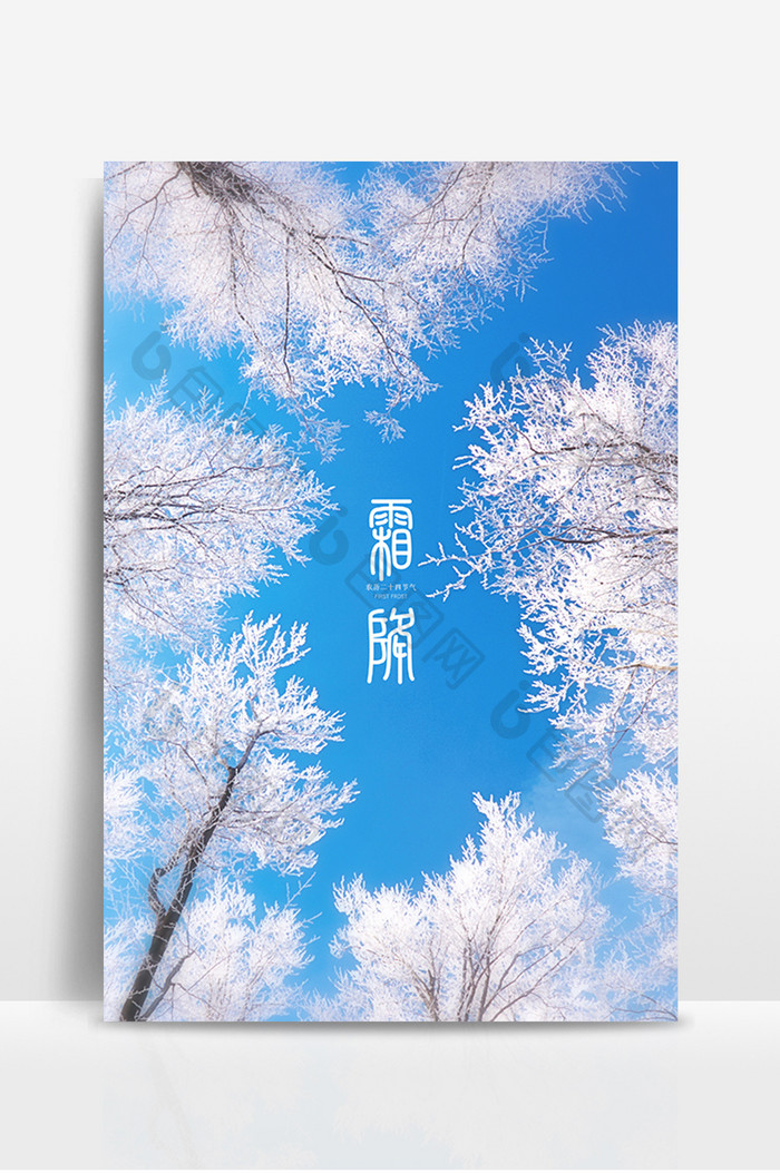 雪白唯美冬季树林结冰霜降背景