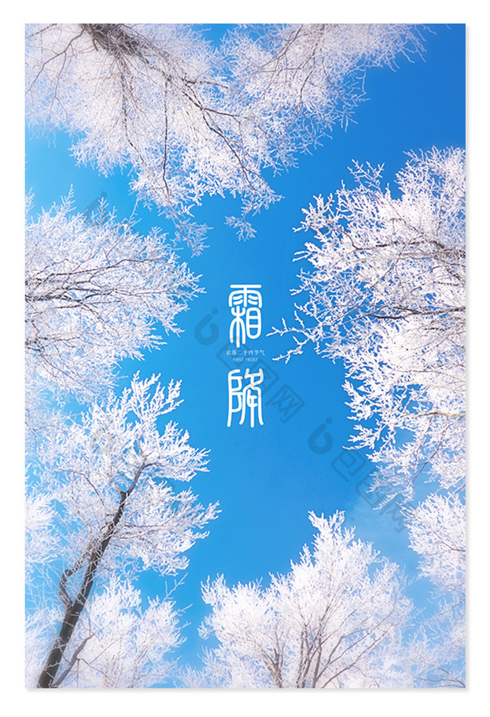 雪白唯美冬季树林结冰霜降背景