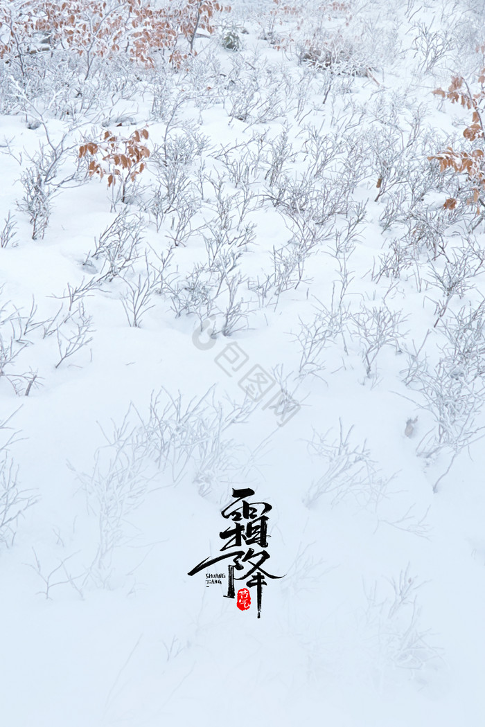 雪白冬季草地树林霜降图片