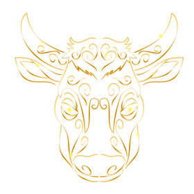 金色线描老牛牛头图片