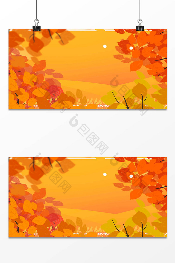 秋天落叶枫叶图片图片