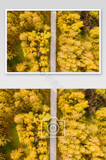 秋天的童话航拍秋季公路图片