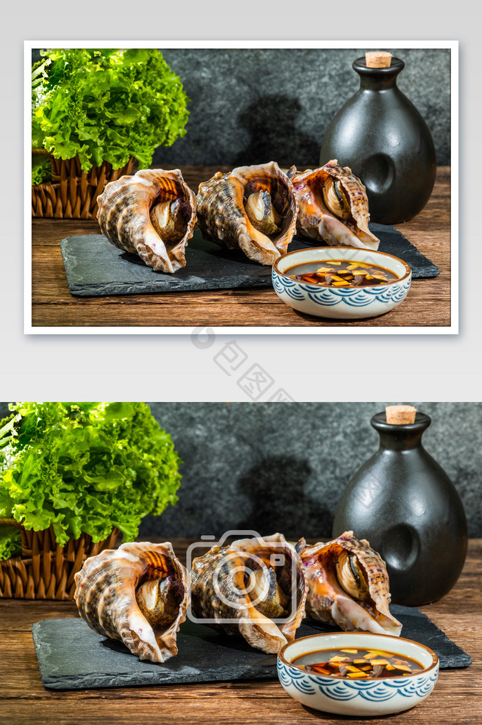 海鲜食材海螺摄影图