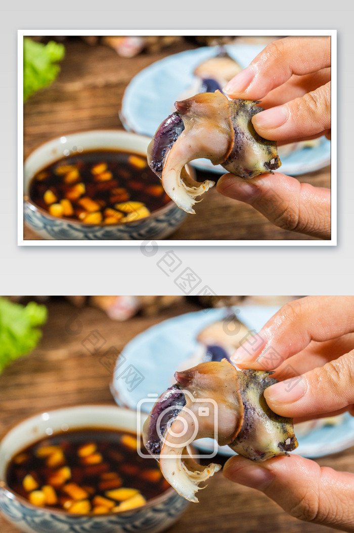海鲜海螺肉摄影图