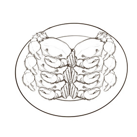 卡通线描美食大螃蟹