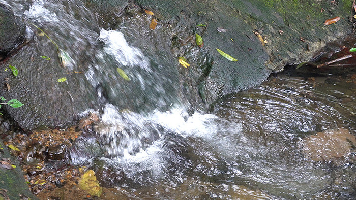 小溪流水实拍视频