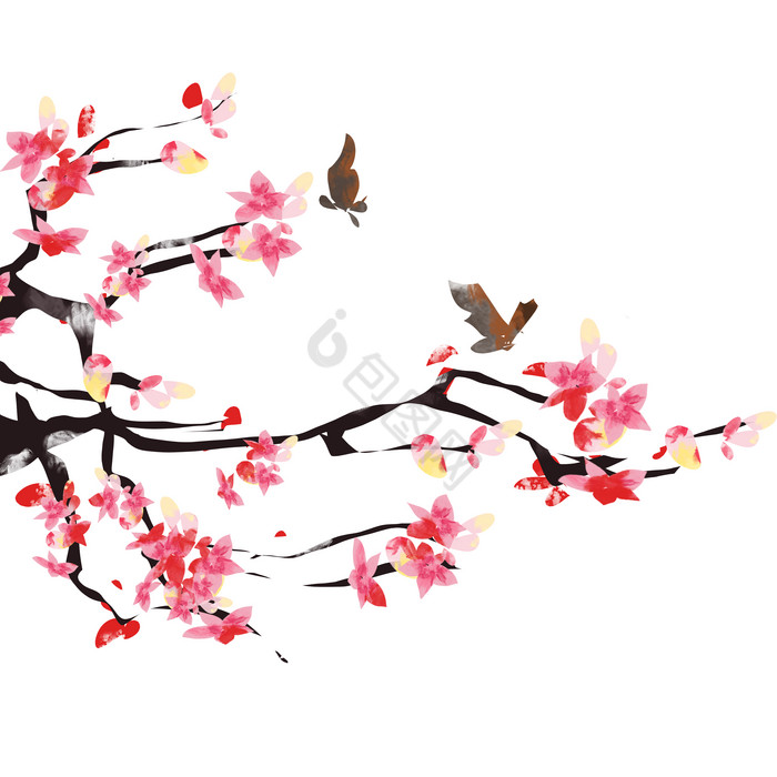 梅花雪图片-梅花雪图片模板