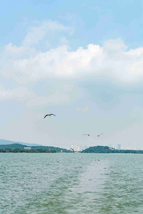 江苏无锡太湖鼋头渚风景