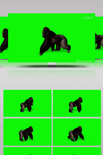绿幕抠像黑色大猩猩行走中合成视频图片