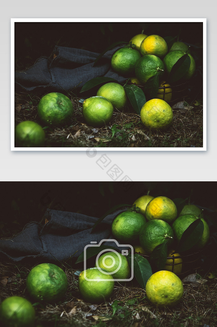 桔子橘子绿色新鲜水果图片图片