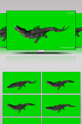 绿幕抠像鳄鱼张嘴爬行合成视频图片