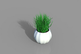 绿色植物草盆栽C4D模型