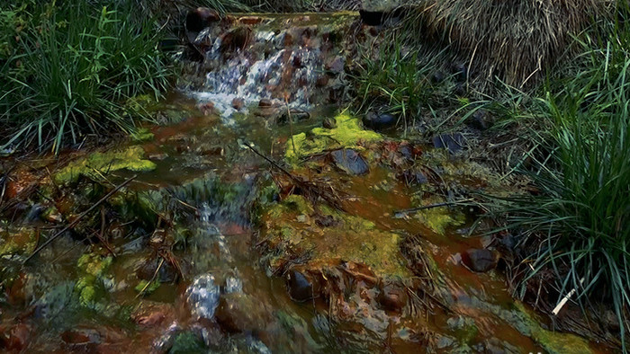 实拍湿地公园小溪流水