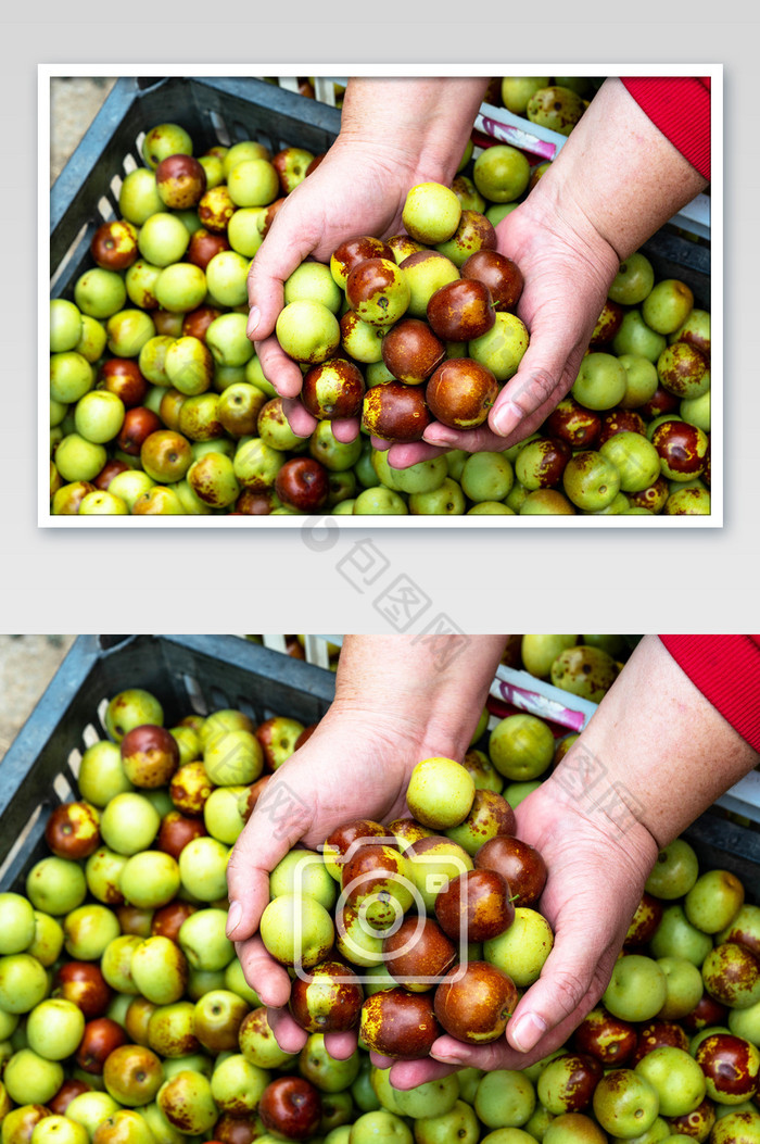 水果冬枣食品摄影图图片图片