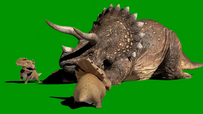 绿幕抠像剑齿龙宝宝休息动画动物展示素材