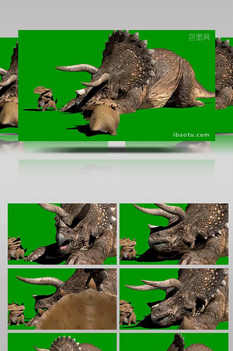 绿幕抠像剑齿龙宝宝休息动画动物展示素材图片