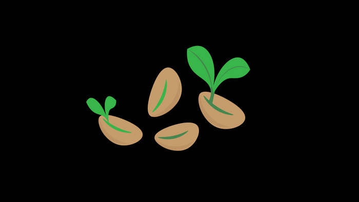 简约扁平风自然植物类发芽种子mg动画aep格式【视频下载】