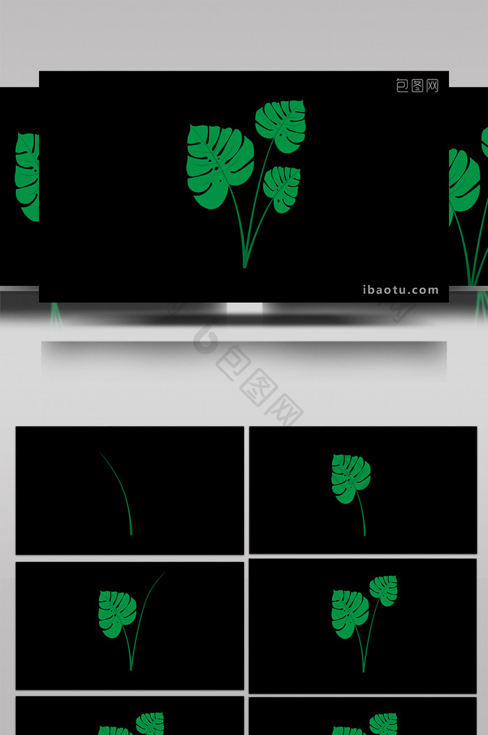 清新可爱扁平风植物类龟背竹MG动画