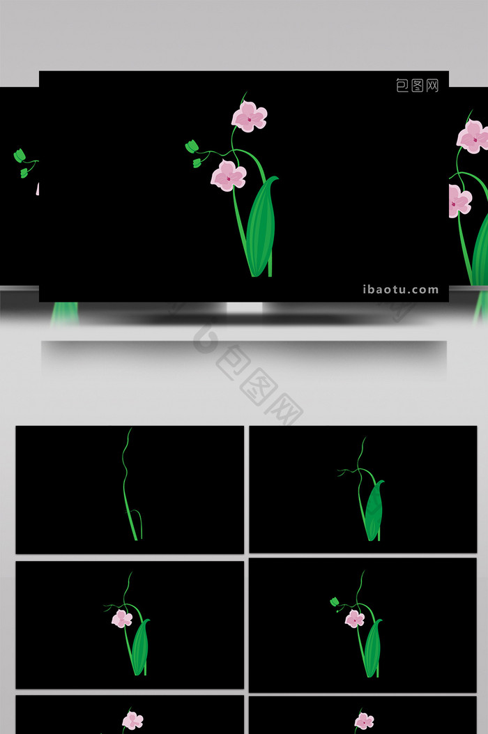 清新可爱扁平风植物类蝴蝶兰MG动画