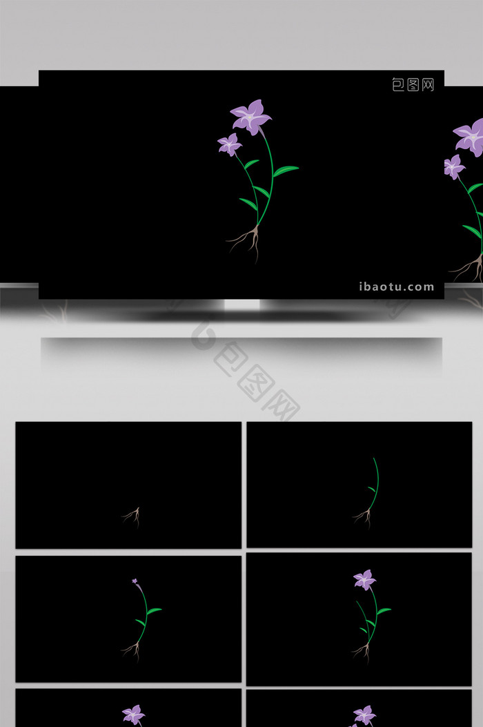 清新可爱扁平风植物类花朵MG动画