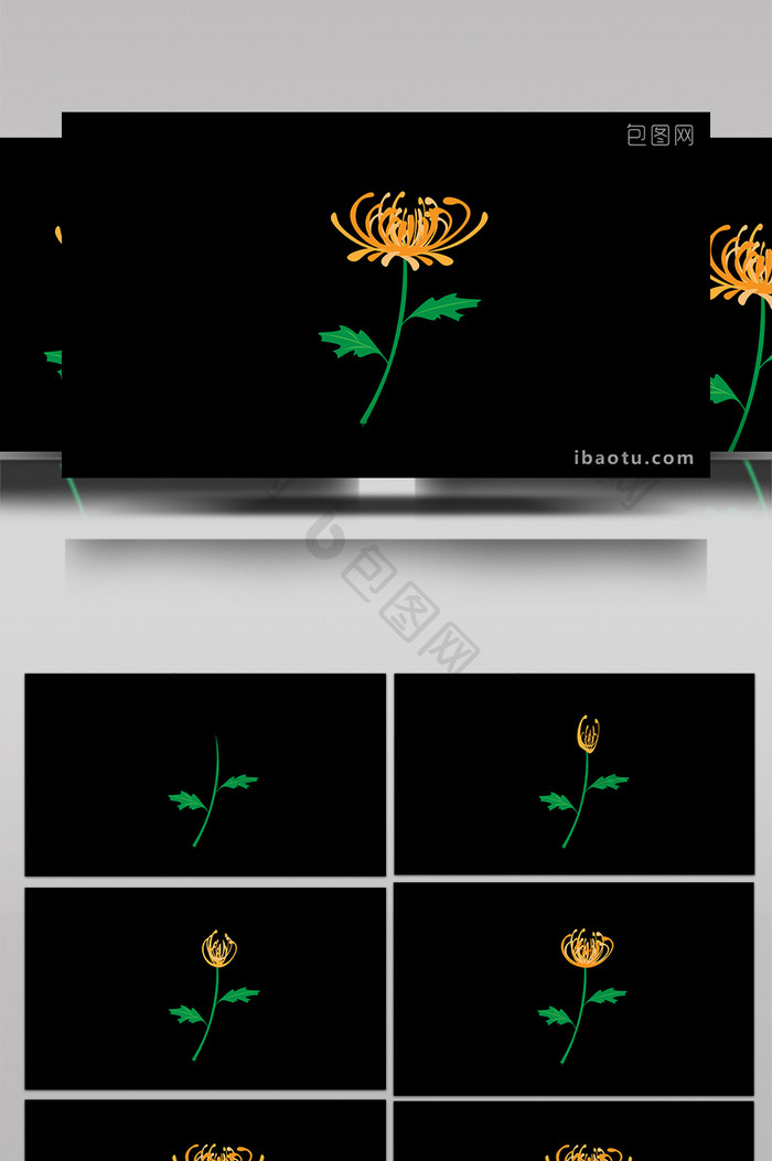 清新可爱扁平风植物类盛开菊花MG动画