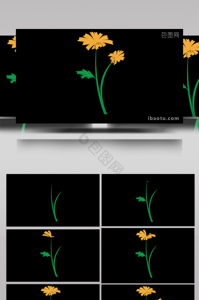 清新可爱扁平风植物类菊花MG动画
