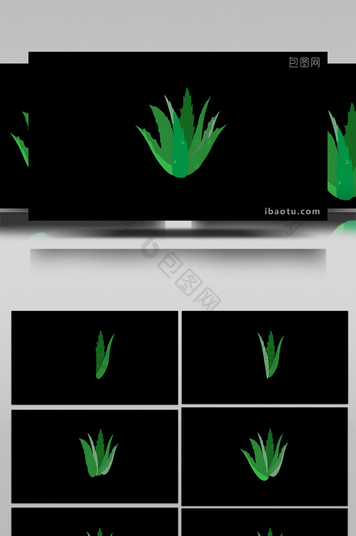 清新可爱扁平风植物类芦荟MG动画