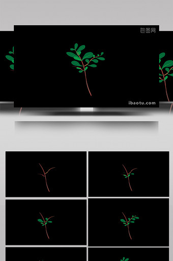 清新可爱扁平风植物类马齿苋MG动画图片