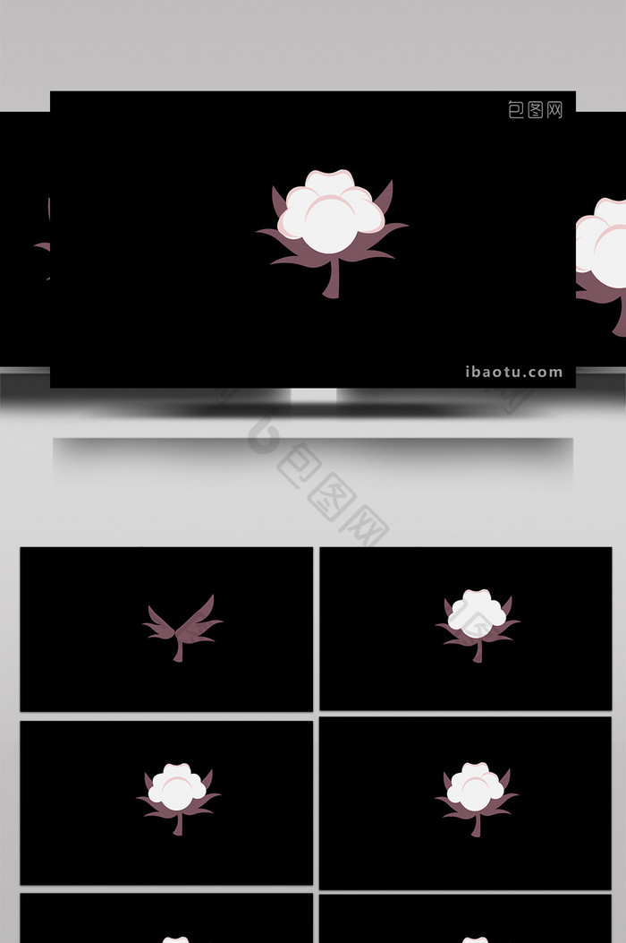 清新可爱扁平风植物类棉花MG动画