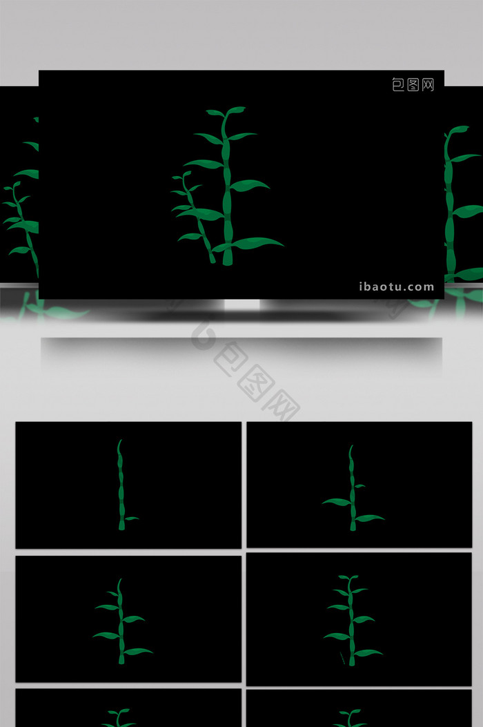 清新可爱扁平风植物类石斛MG动画