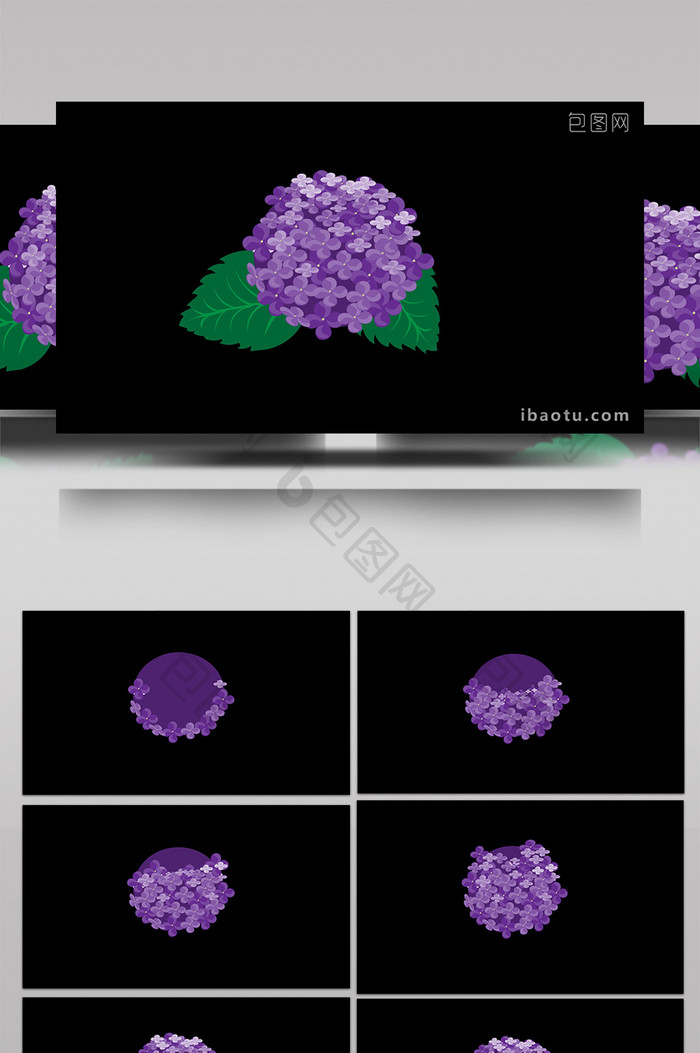 清新可爱扁平风植物类绣球MG动画