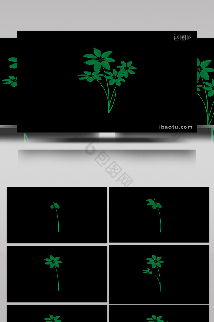 清新可爱扁平风植物类鸭脚木MG动画