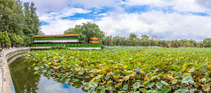 昆明地标翠湖公园内景摄影图片