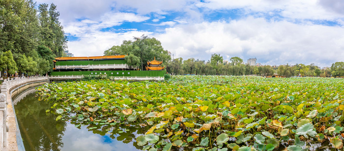 云南昆明地标翠湖公园内景的摄影图片