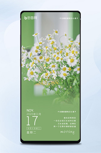 绿色小雏菊每日一签早安心语正能量手机配图图片