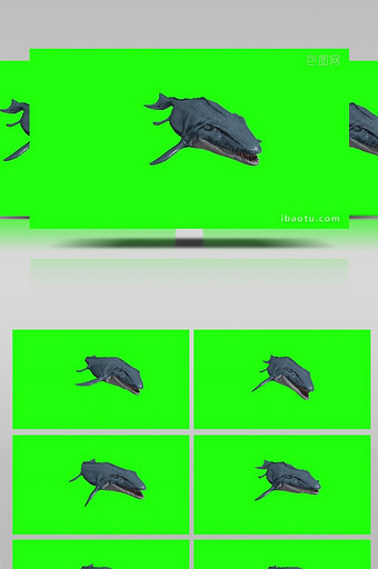 绿幕抠像大鱼游动动物展示畸形合成素材图片