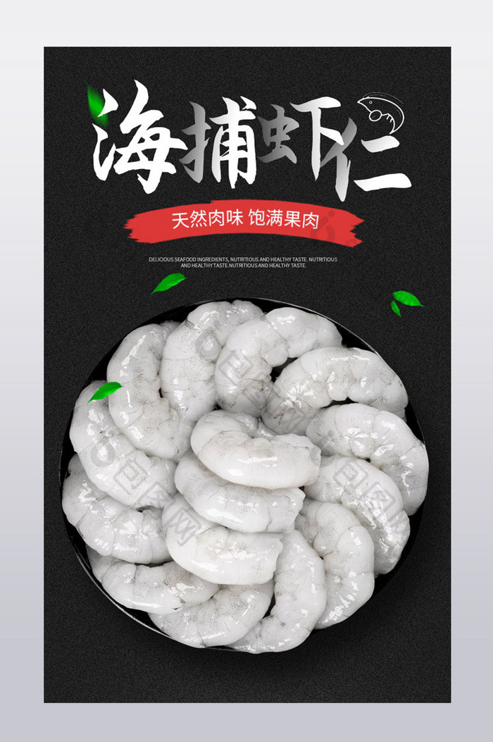 海捕虾仁海边美味食材精选材料自然食物详情