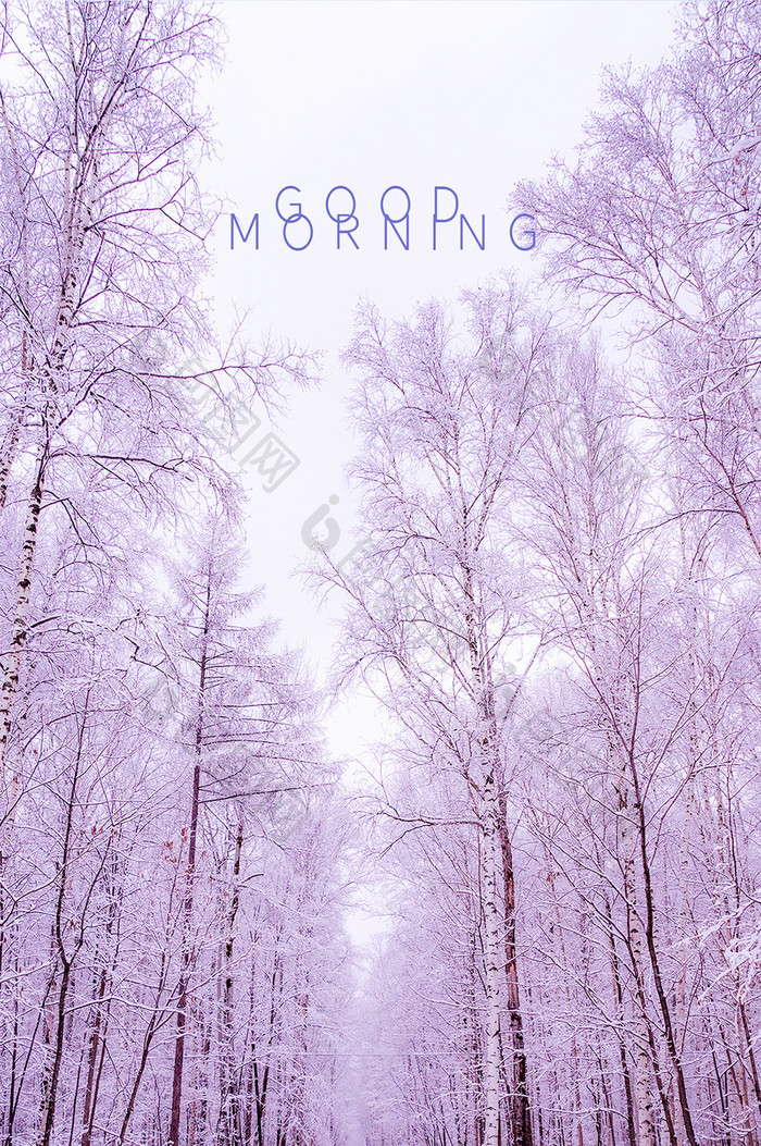 紫色浪漫唯美冬季早安问候日签正能量配图