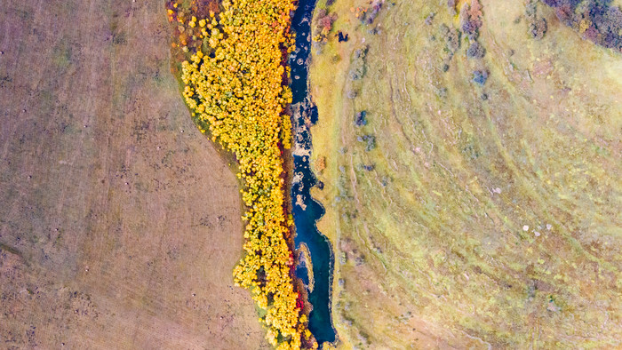 航拍秋季森林分界线图片