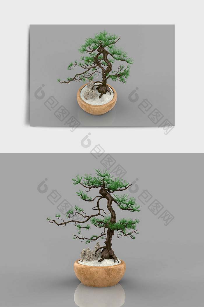 中式传统绿植盆景松树C4D模型