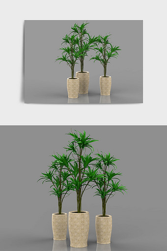 现代装饰装修植物绿植C4D模型图片