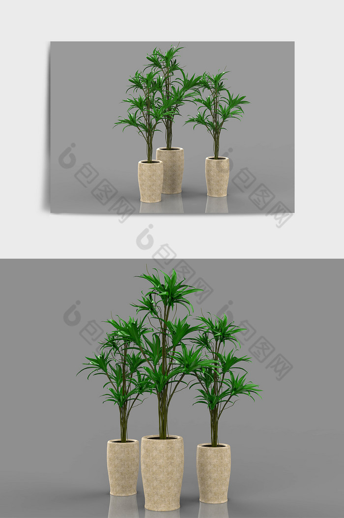 现代装饰装修植物绿植C4D模型图片图片